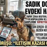 SADIK DOST MU, EVDEKİ HAİN Mİ? Yapay Zeka Destekli “Pati Tercümanı”, Köpeklerin ve Kedilerin Aslında Sahiplerine “Küfrettiğini” Ortaya Çıkardı!